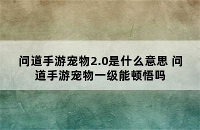 问道手游宠物2.0是什么意思 问道手游宠物一级能顿悟吗